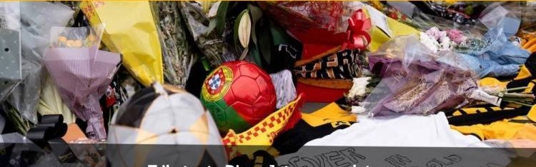 狼队官方：热身赛主场对塞尔塔以及对曼城的英超比赛将缅怀若塔